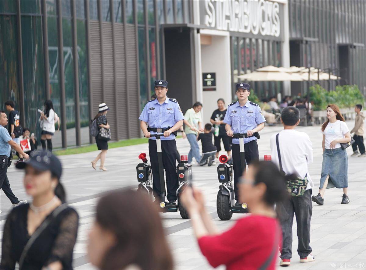 维多利亚vic115